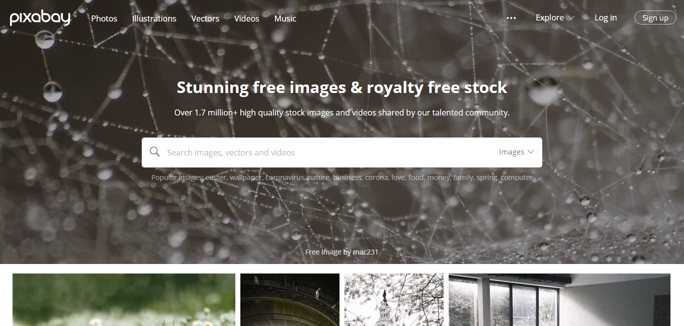useful websites for web designers